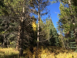 IMG_3414